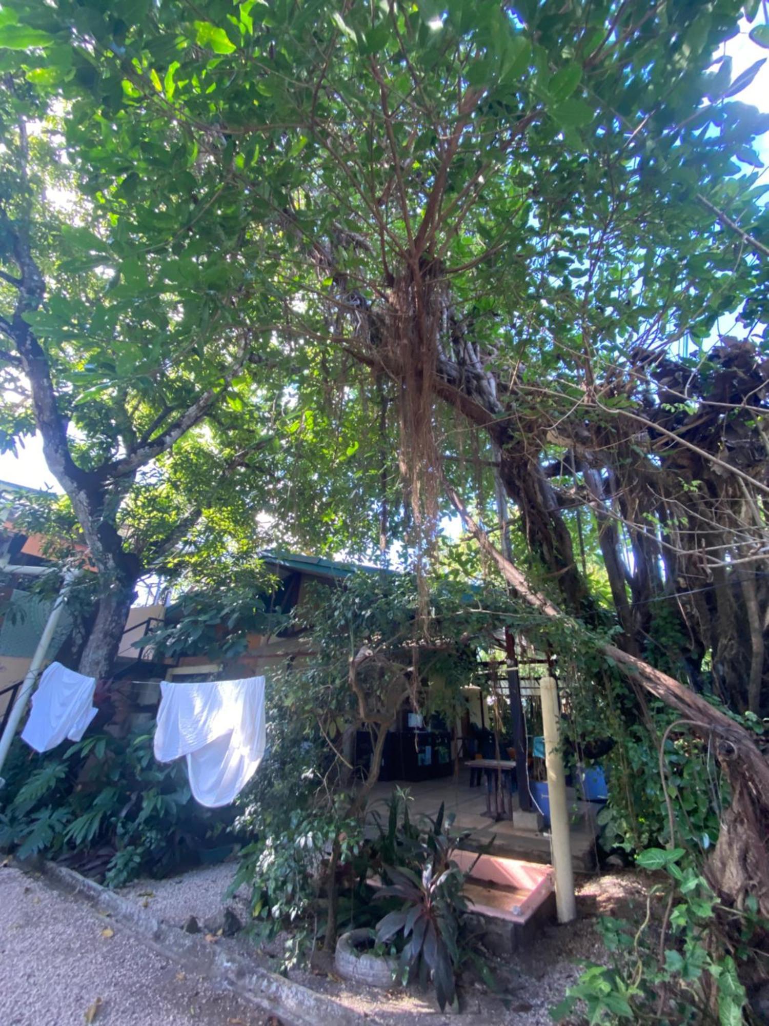 Cabinas Arribadas Ostional Wildlife Refuge Exterior foto
