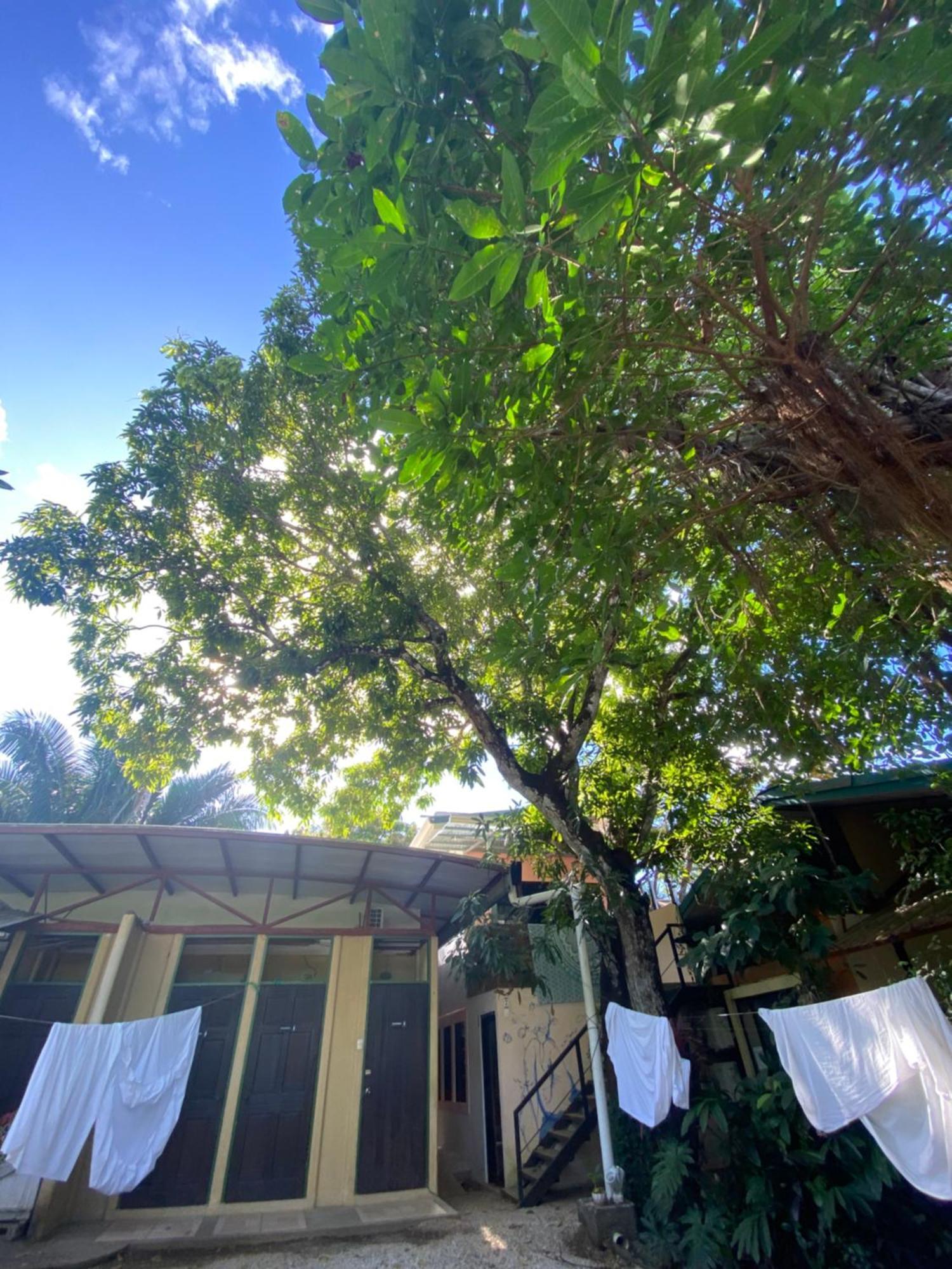 Cabinas Arribadas Ostional Wildlife Refuge Exterior foto